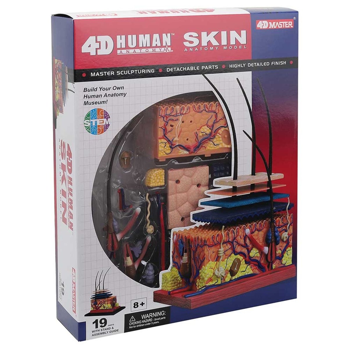 4D HUMAN ANATOMY - SKIN SECTION - Premium for Kids in Qatar | Toysaro.com